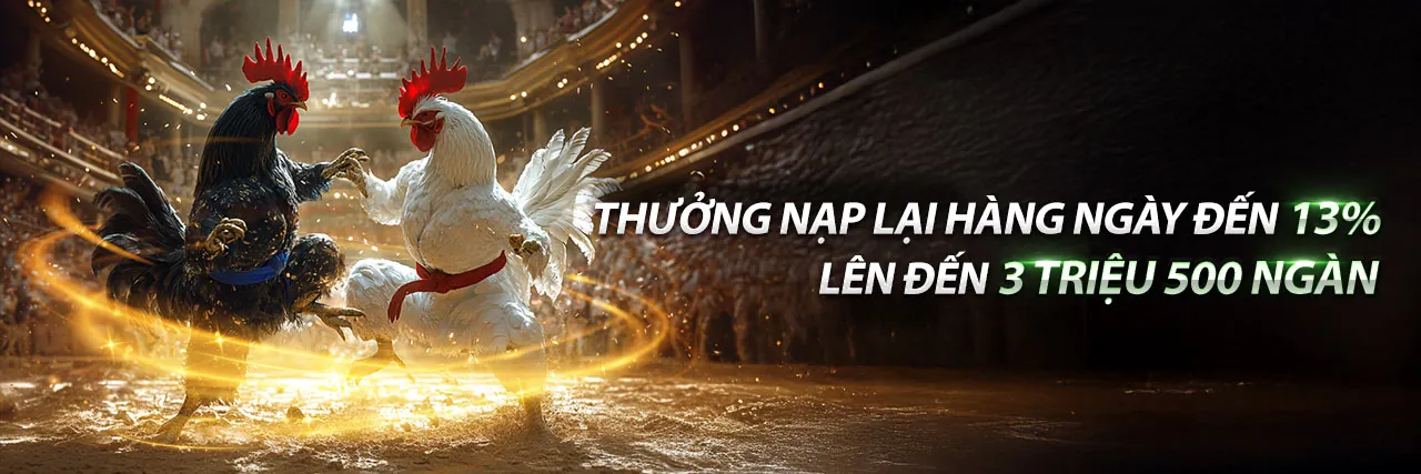 Ưu Đãi Hoàn Trả Hàng Ngày viva8 casino
